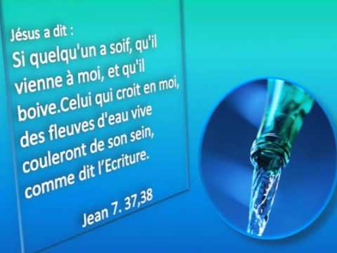 Chante Alleluia au Seigneur