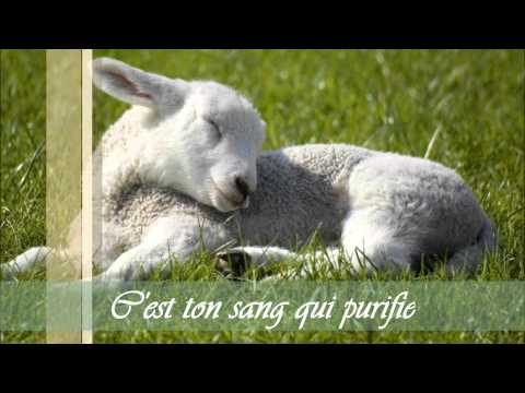 C'est ton sang qui purifie