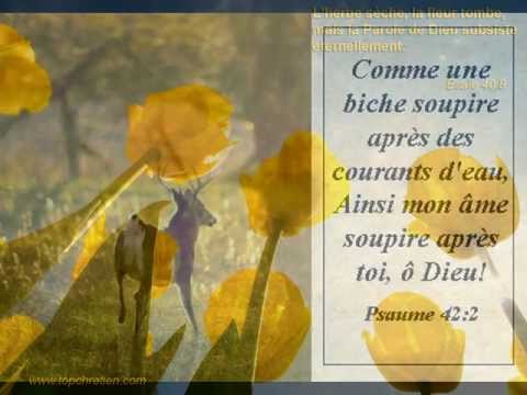 Merveilleux, si merveilleux